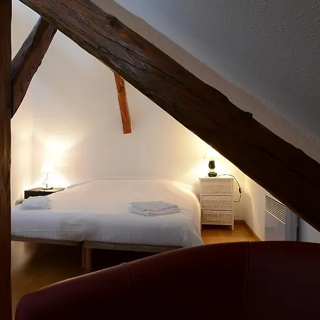 Le Gite De Jade Appartement Colmar